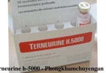 Thuốc Terneurine h-5000 mua ở đâu? Thuốc Terneurine h-5000 giá bao nhiêu? Thuoc Terneurine h-5000 mua o dau Thuoc Terneurine h 5000 gia bao nhieu
